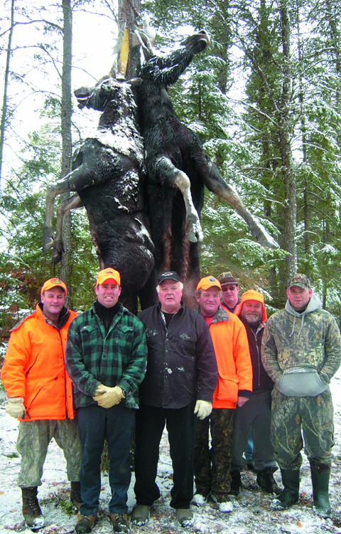 2007 moose